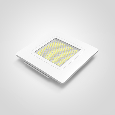 耐久性 ブラケット マウント LED ガソリンステーション キャンピングライト 100 寿命 150lm/W 効率性 IK 07 衝撃抵抗