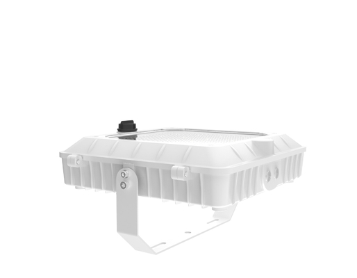 120-277V 50/60Hz 入力電圧 LED 覆面照明と衝撃抵抗 IK 07 白色